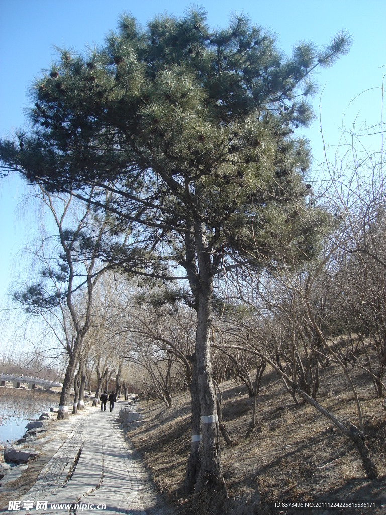 園明園風(fēng)景