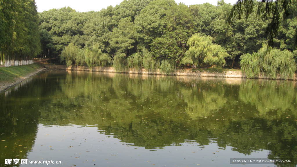 華科的湖