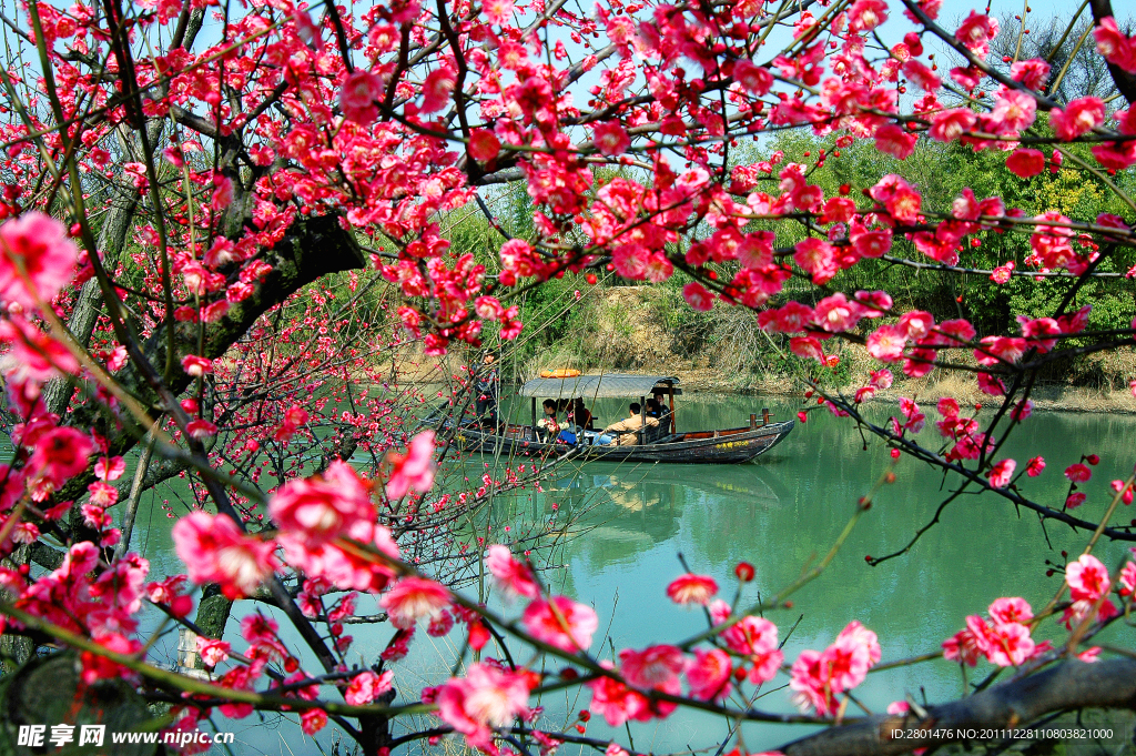 杭州西溪湿地景色