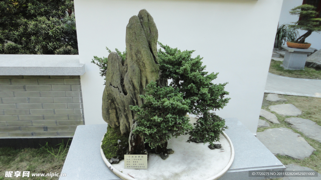 川派盆景