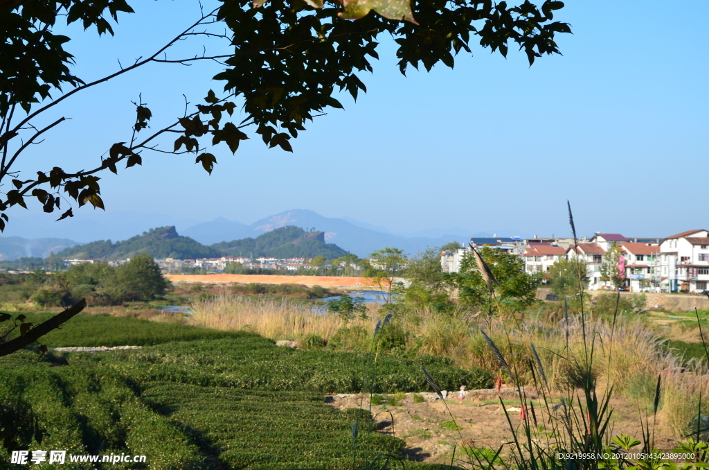 武夷山風(fēng)景