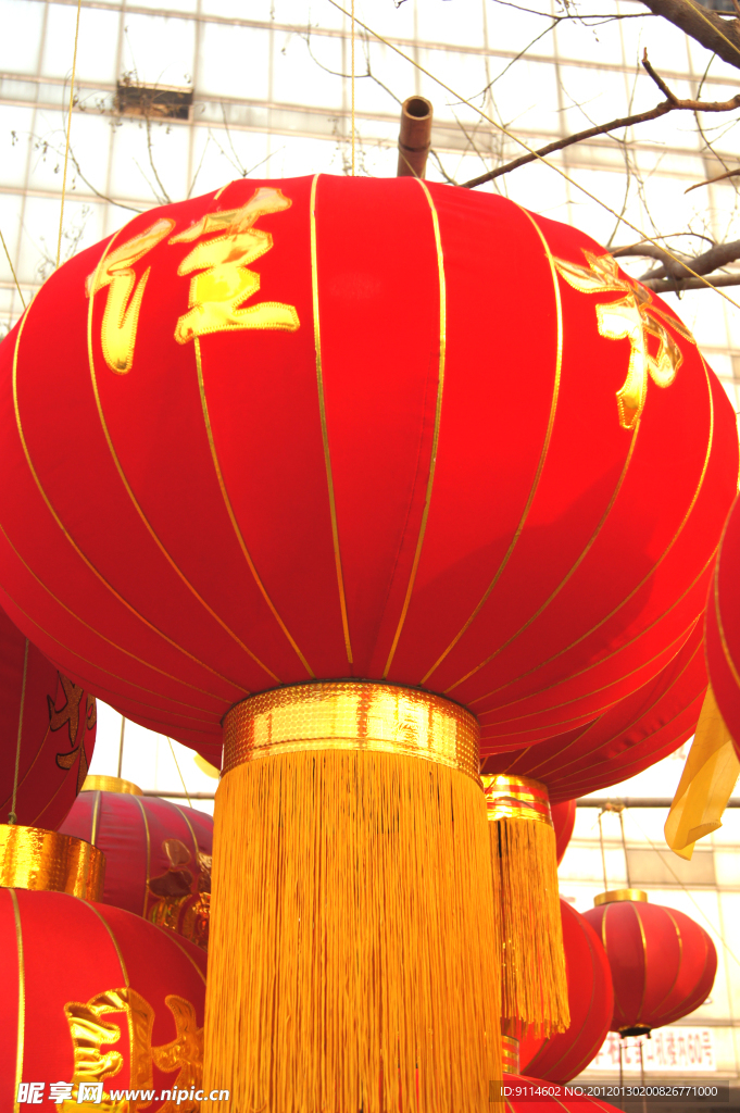 大紅燈籠