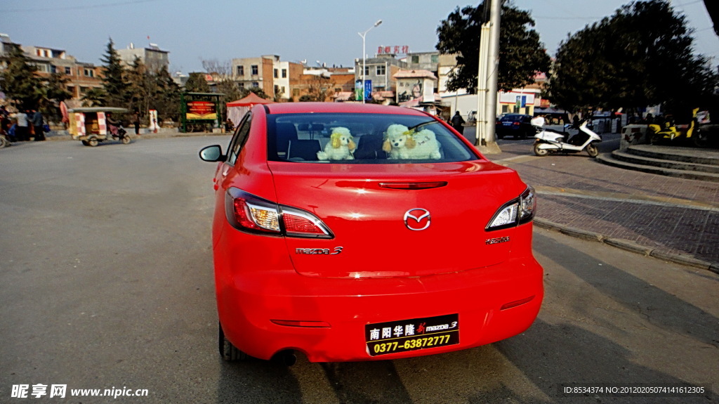車后 小狗
