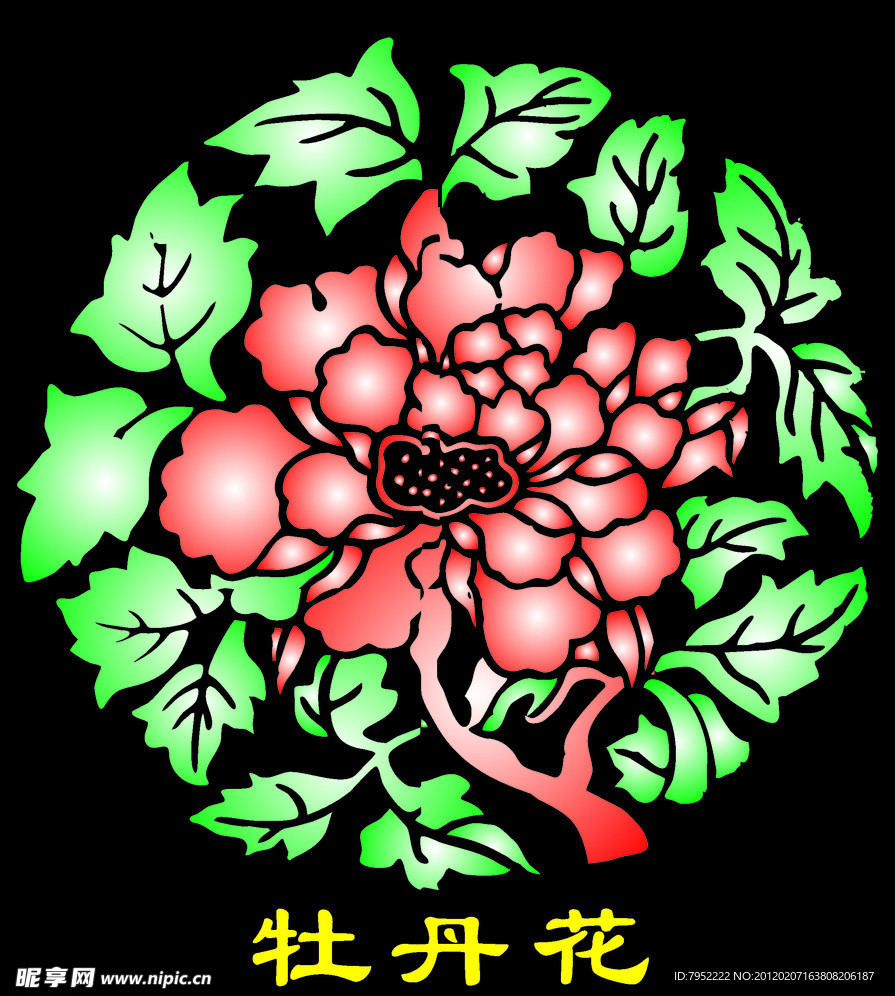 牡丹花