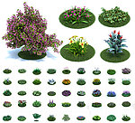 50个庭院植物max模型