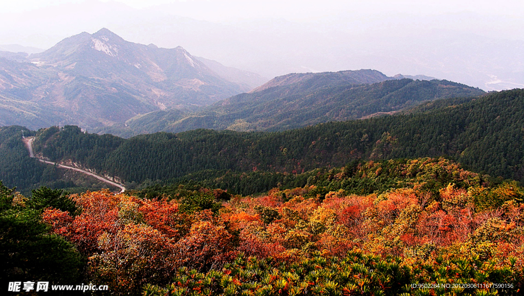 秋到大別山