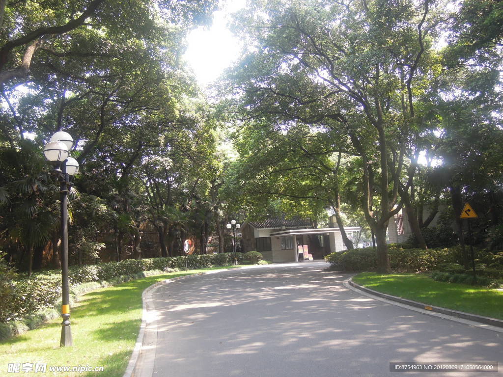 綠樹景色
