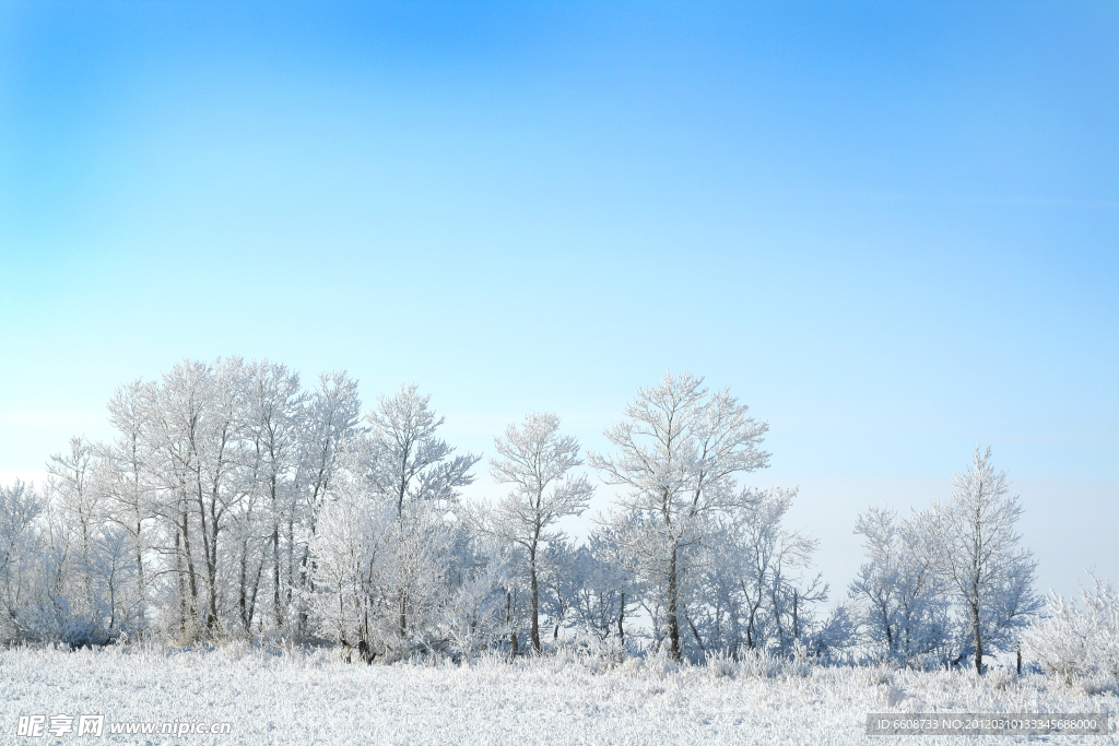 冬季大雪風光