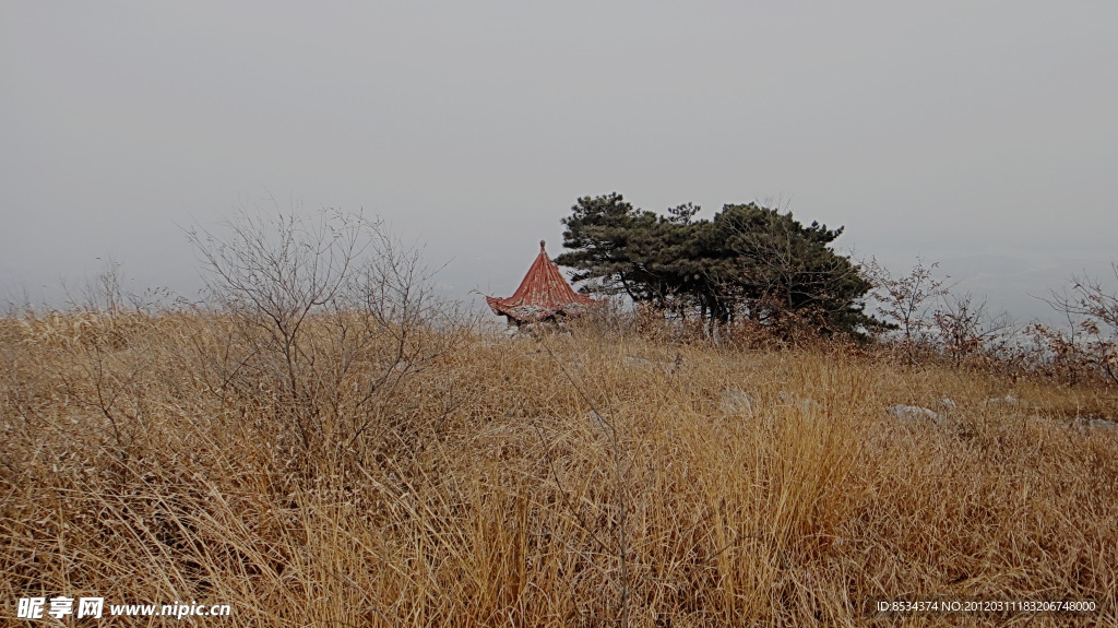 松樹亭