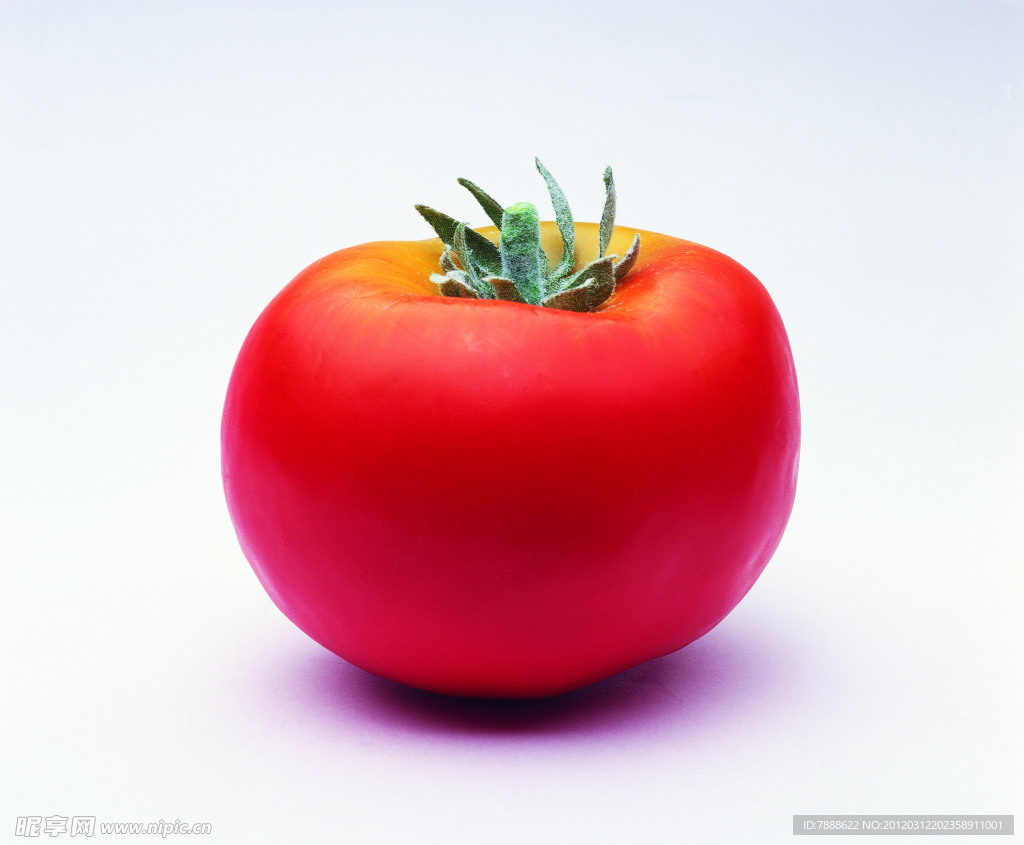 高清蔬菜