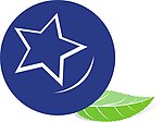 蓝莓果CDR图logo
