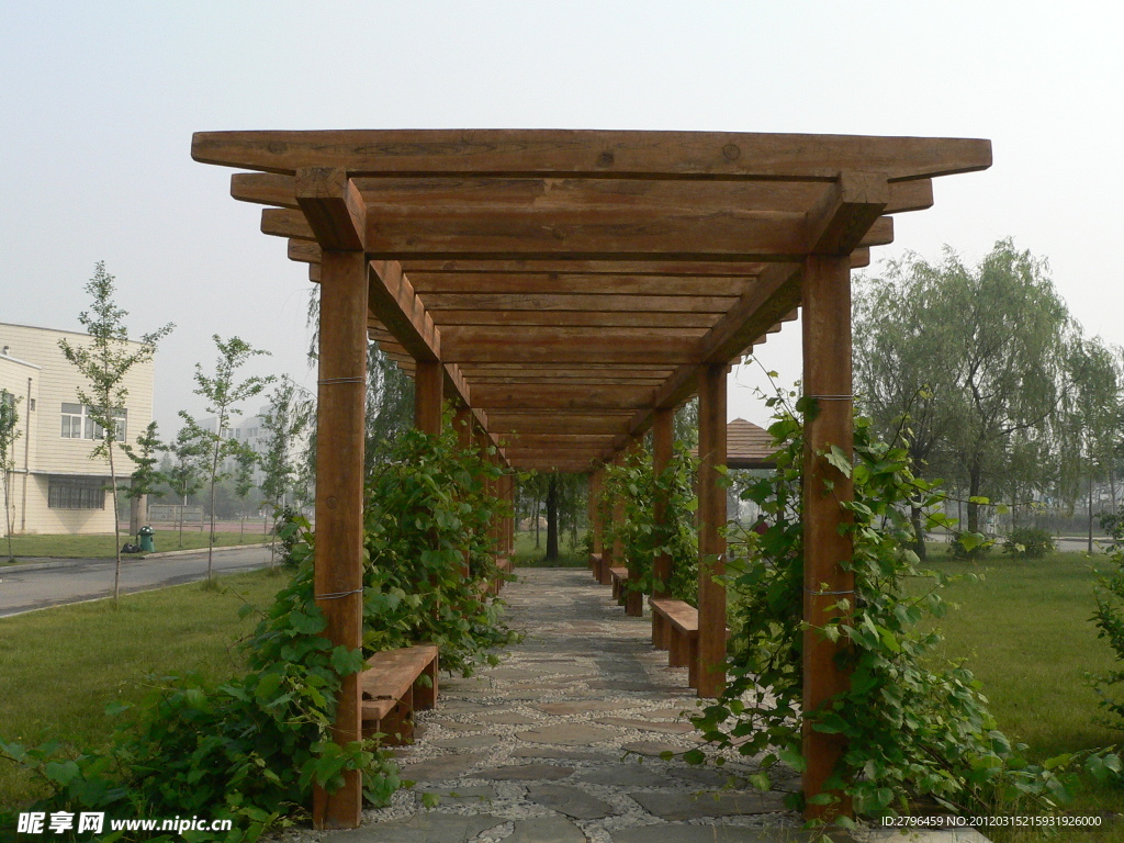沈陽(yáng)師范大學(xué)校園一角