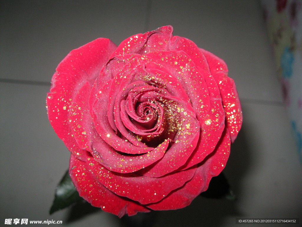 玫瑰花