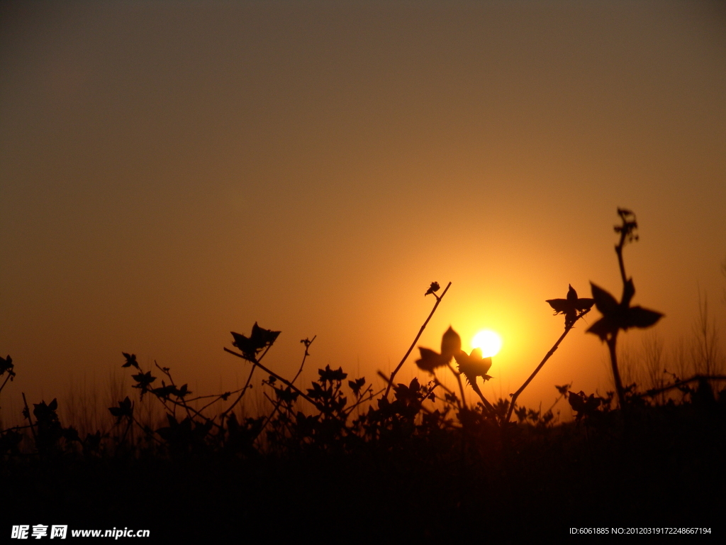 夕陽(yáng)之舞