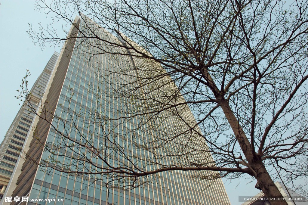 高樓建筑