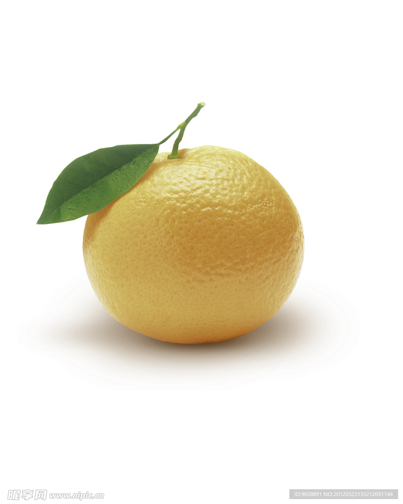 蜜桔