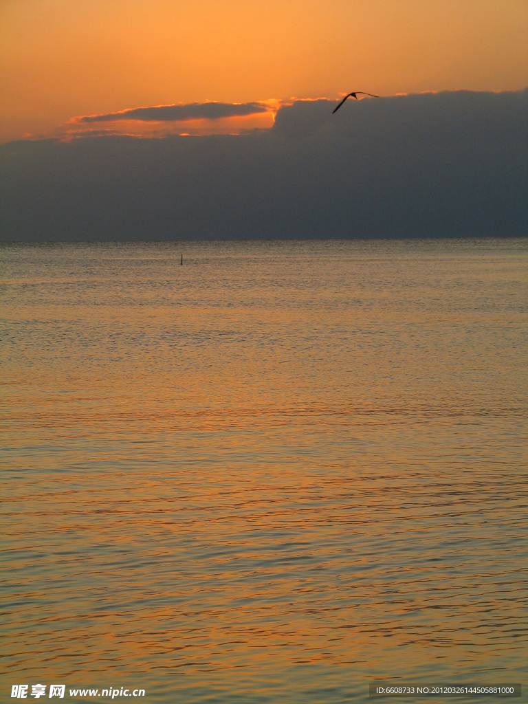 夕陽風光