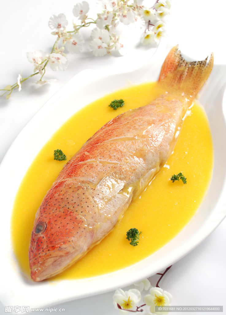 美味海魚