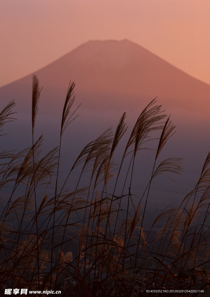 山頂