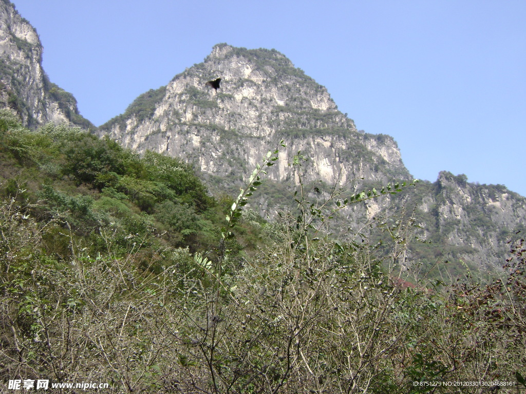 西溝風景