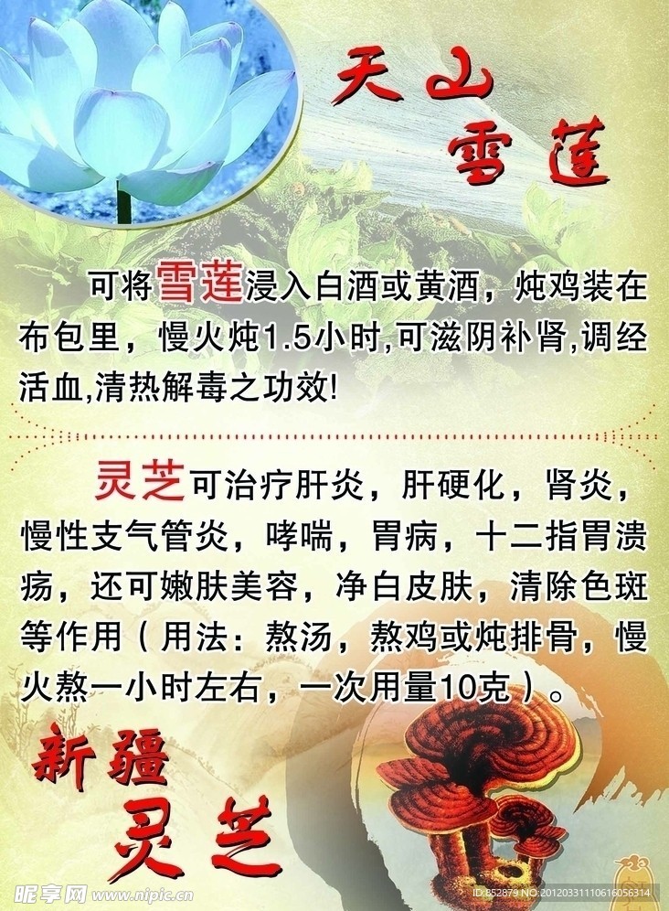 高級保健品廣告