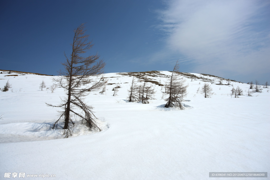 雪山風景