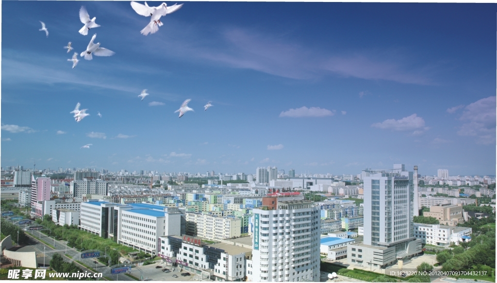 城市建筑鳥瞰園林攝影