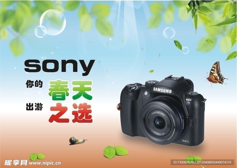 sony的春天