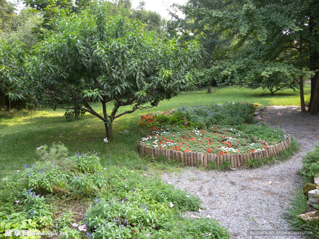 公園花池