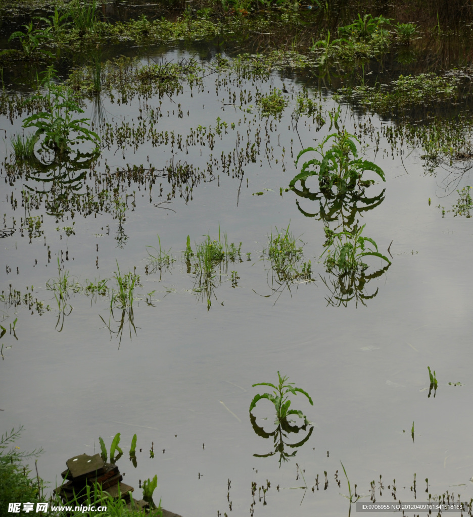 水池水面