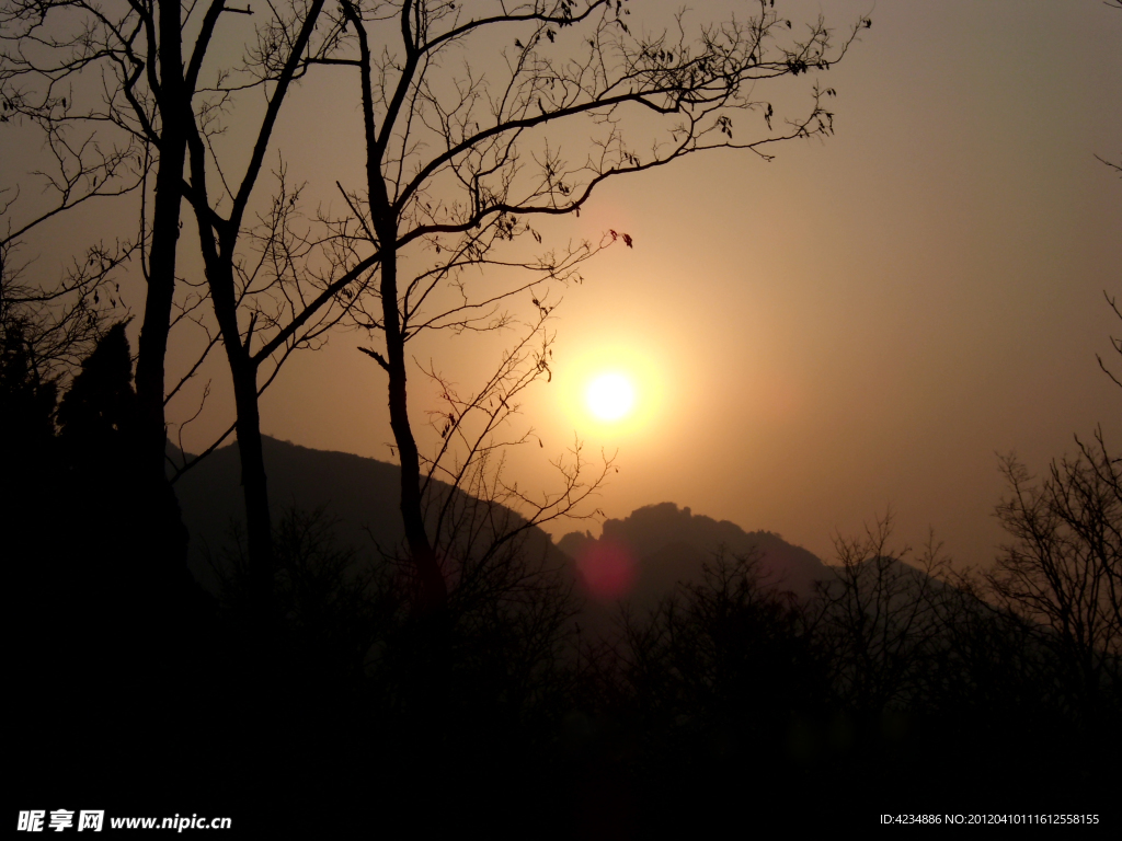 夕陽 日落