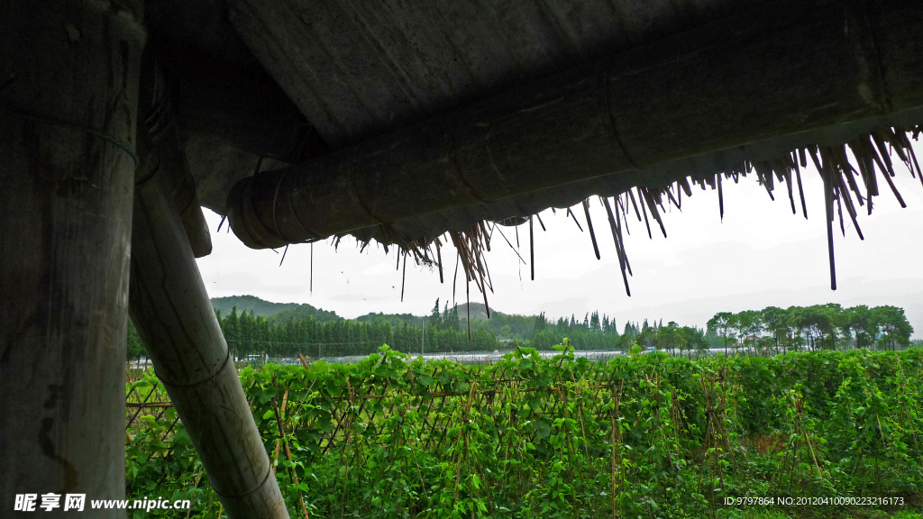 農(nóng)家樂茅屋