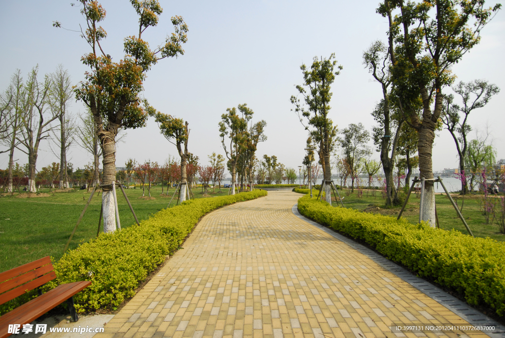 公園景觀