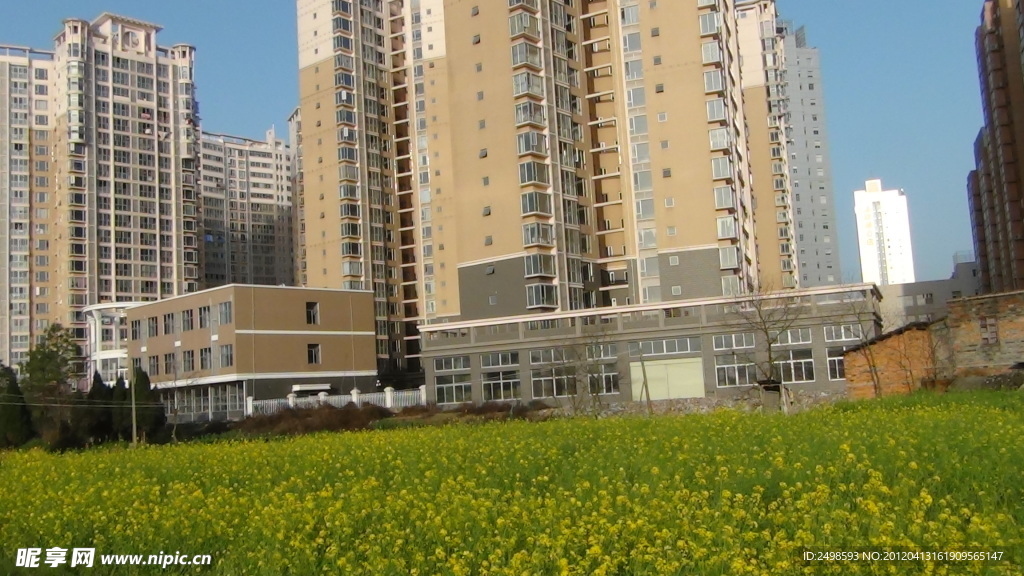 城市建筑