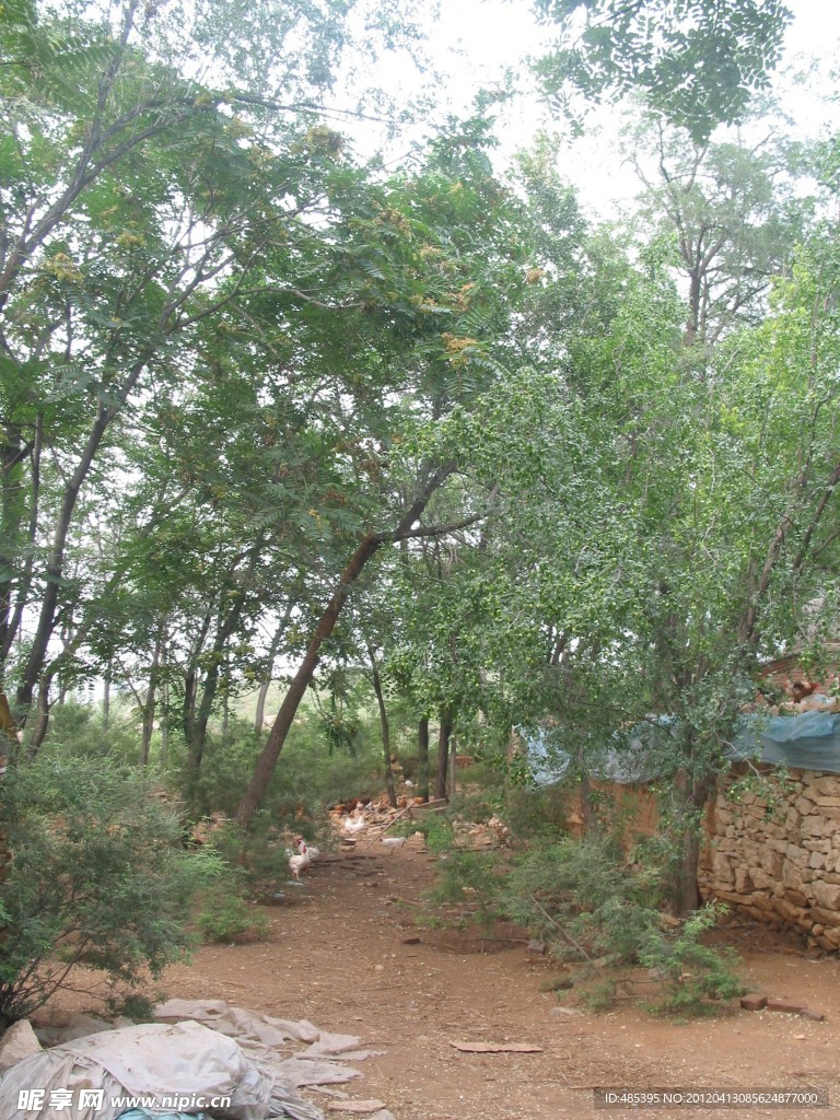 旅游景點