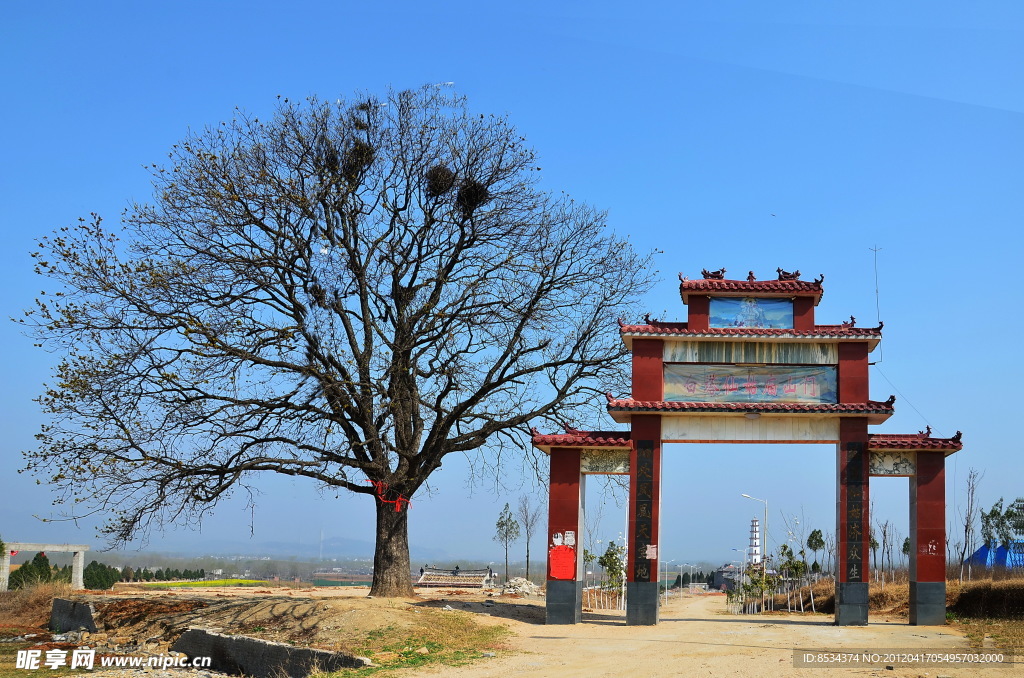 奇樹 牌坊