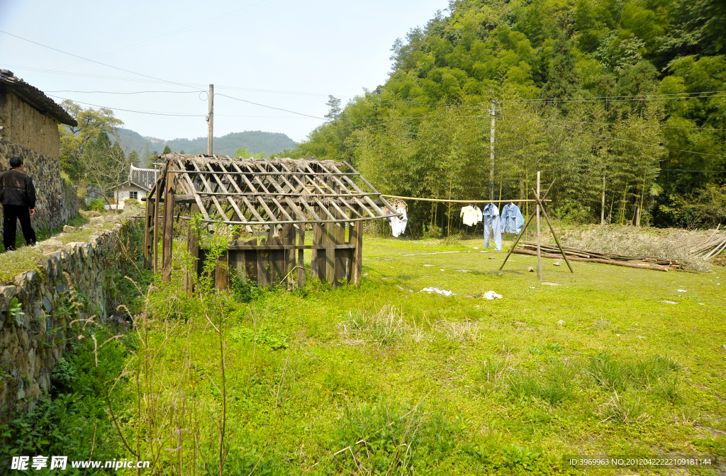 踏青