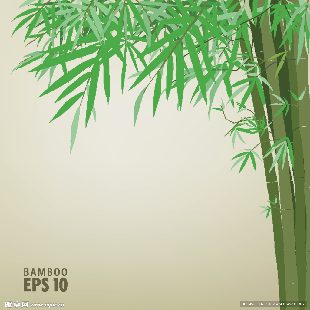 竹子绿竹背景