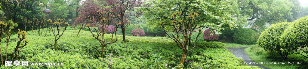 公園 全景