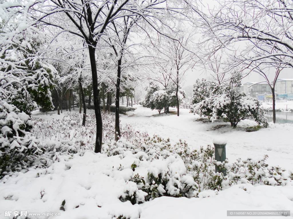 公園雪景