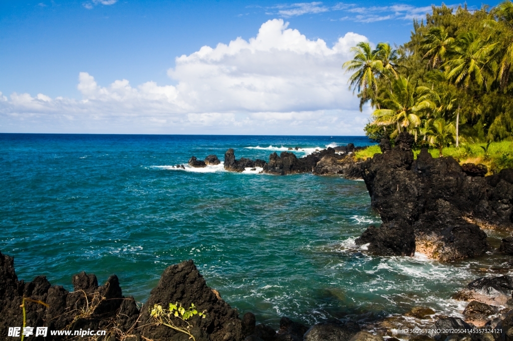 海灘美景