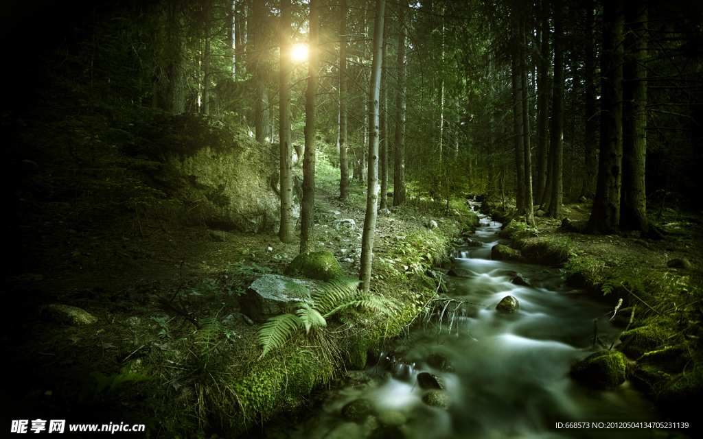 森林（Forests）