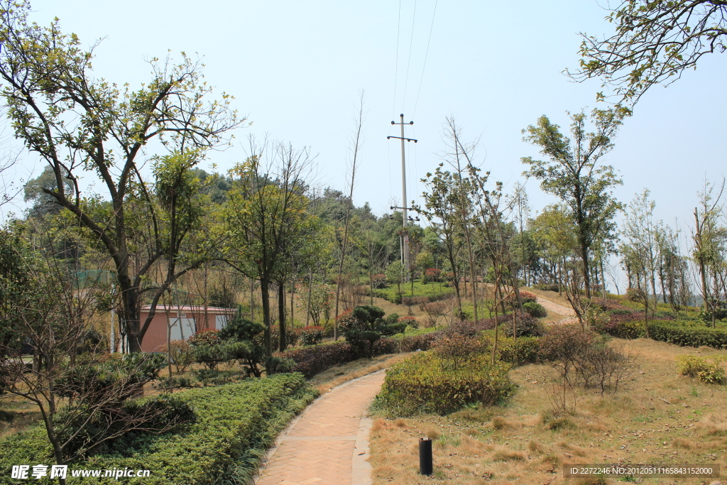 小路