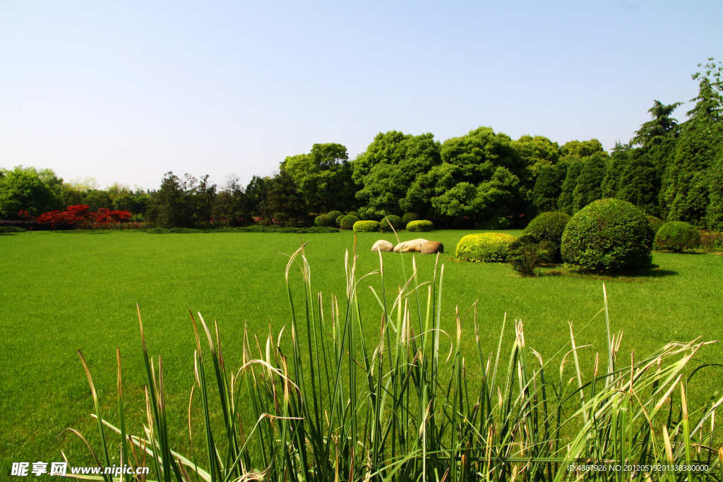 草地