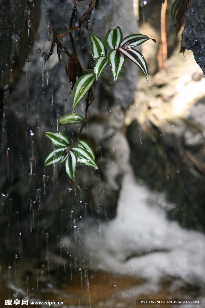 泉水
