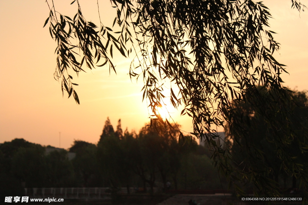 夕陽剪影