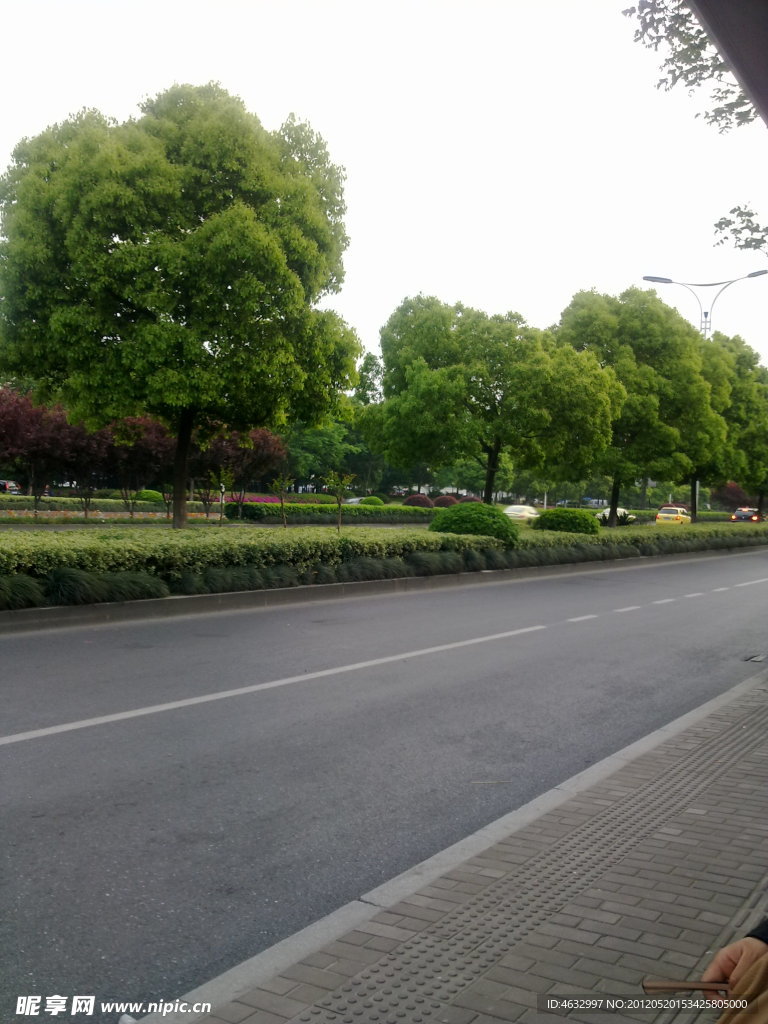 道路風景