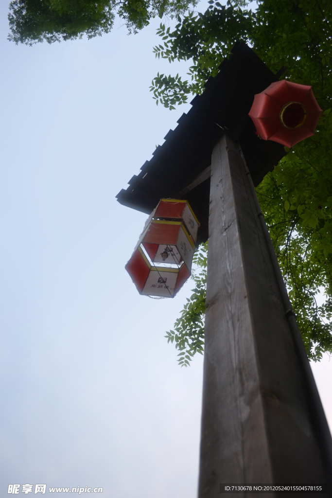 樹(shù)枝 燈籠