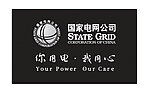 國家電網(wǎng)（文字被刪格化 百分之百下不清晰）