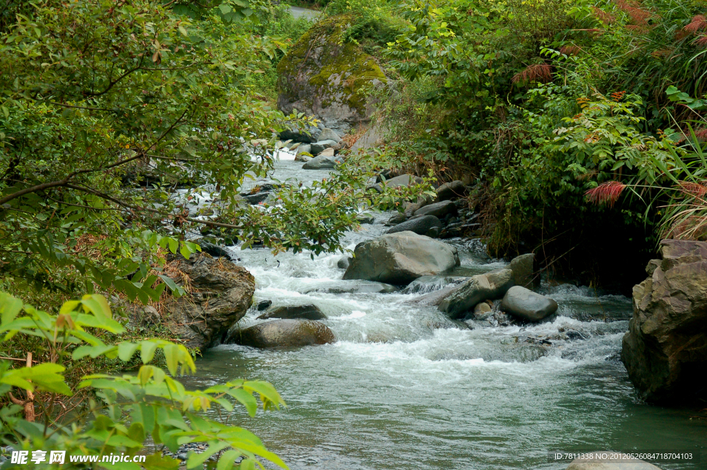 溪河風(fēng)光